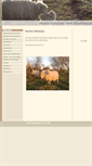 Mobile Screenshot of hiller-moorschnucken.de